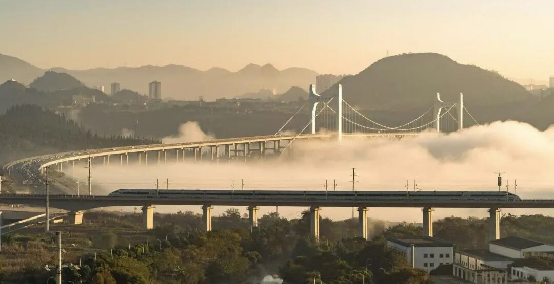 图片9.png 图片9.png